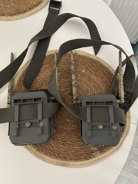 Camere vanatoare camovue, reolink