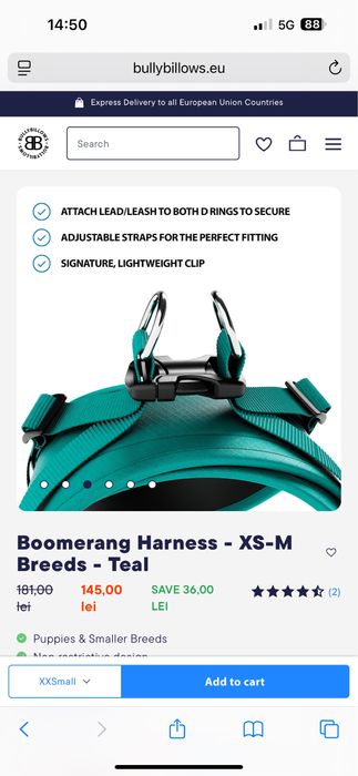 Ham pt caini bullybillows