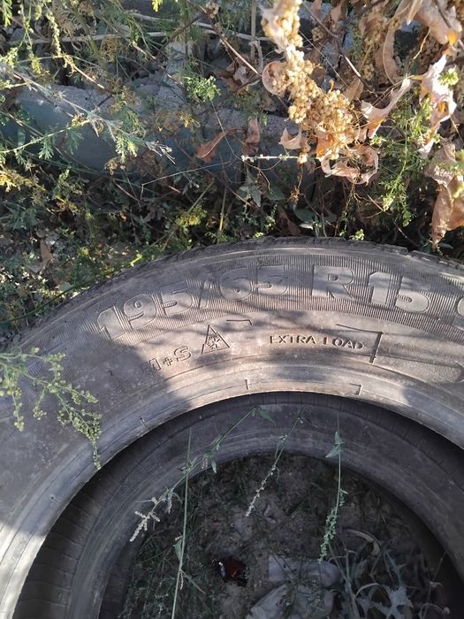 Продам зимние шины за пара 10 000