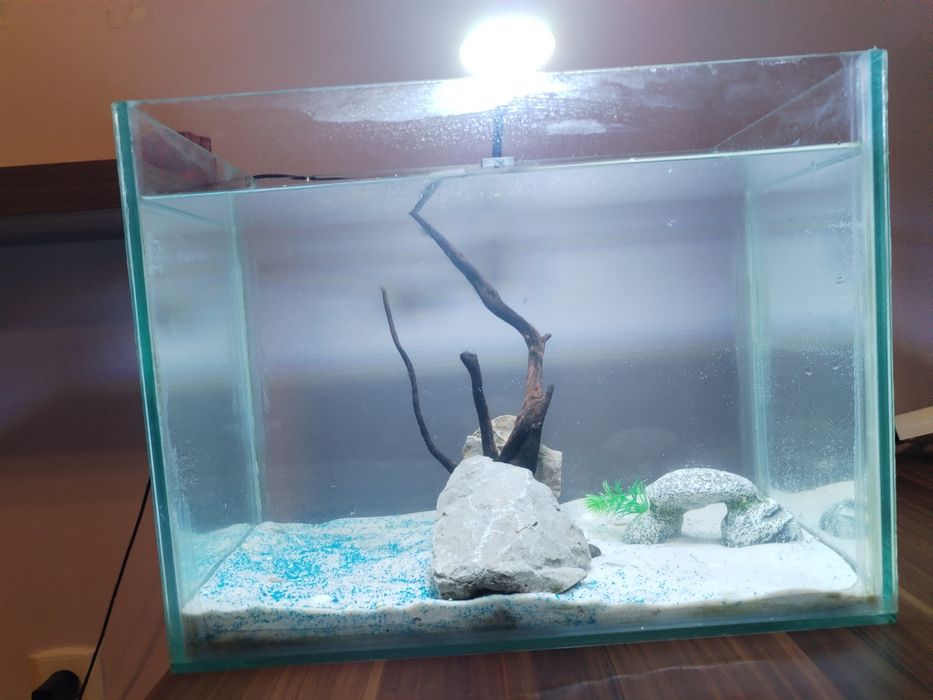 Vând acvariu de 40 de litri