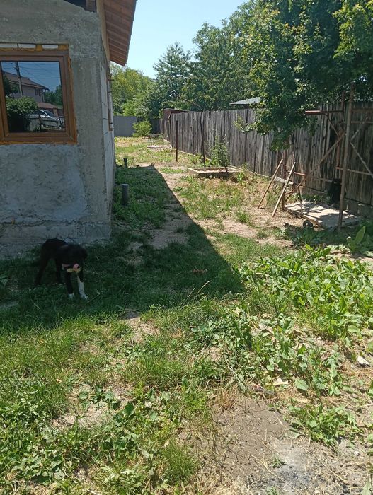 Casă de vânzare Lipănești Prahova