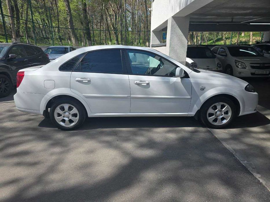 Жентра, своя, 2019, не крашенная