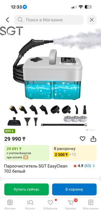 Пароочиститель. SGT EasyClean 702 белый