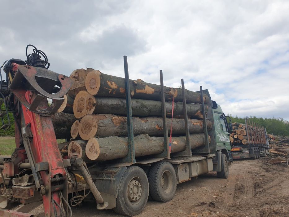 Lemne de foc esență tare.