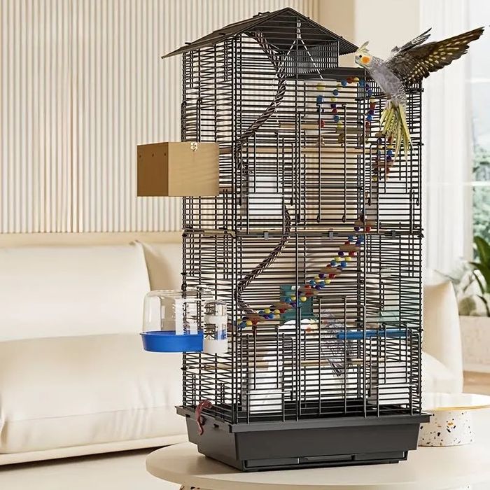 Клетки разного размера