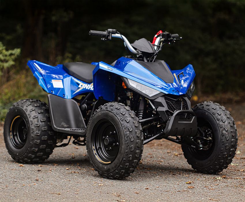 ATV Linhai 110 (nu segway,can am,polaris,cf moto)