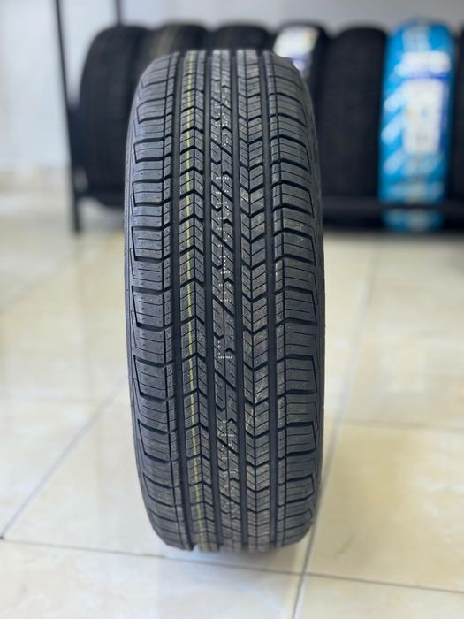 Avto shina Zitto Ravon