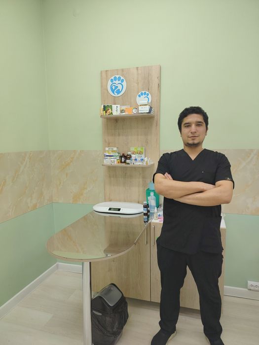 Veterinar Vrach (mushuklar va kuchuklar uchun)