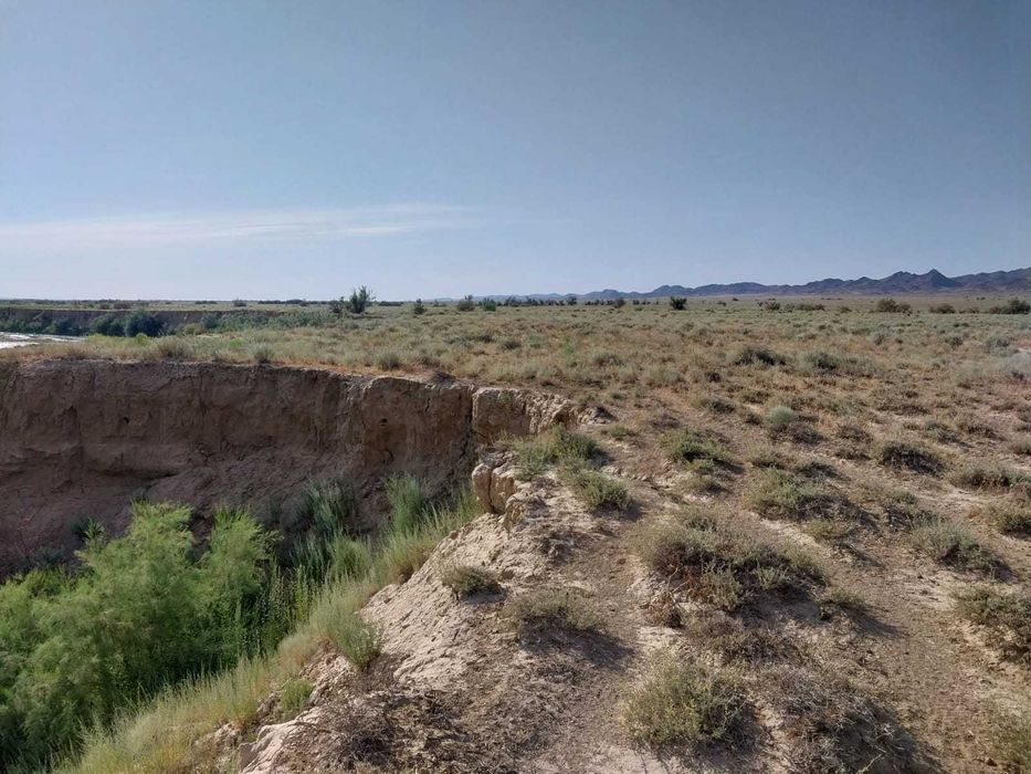 Суармалы жер 365 га