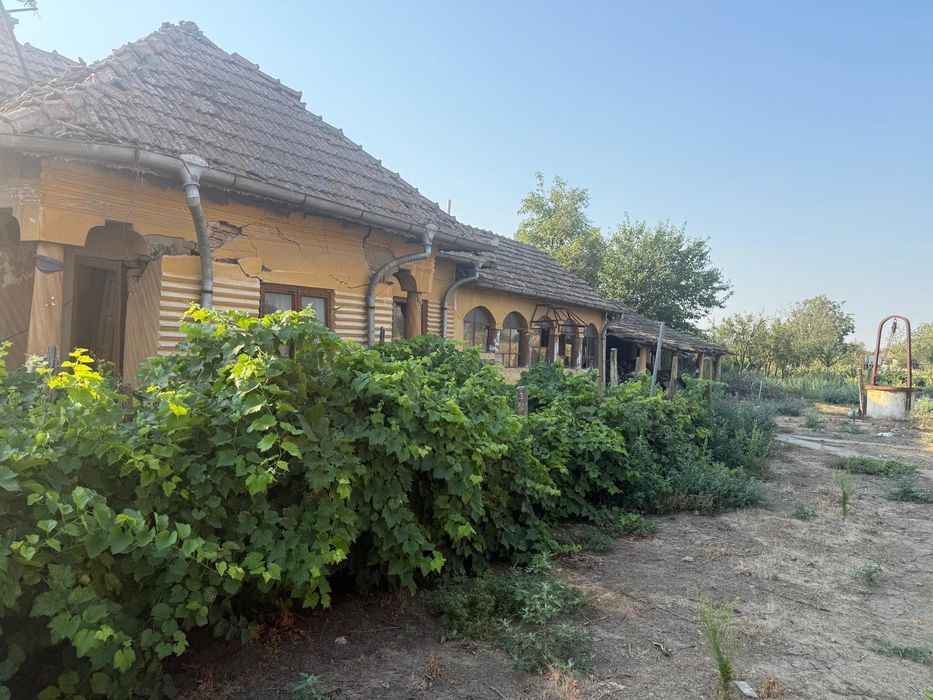 Teren intravilan 2.400 mp în Băilești – 24 m deschidere la strada