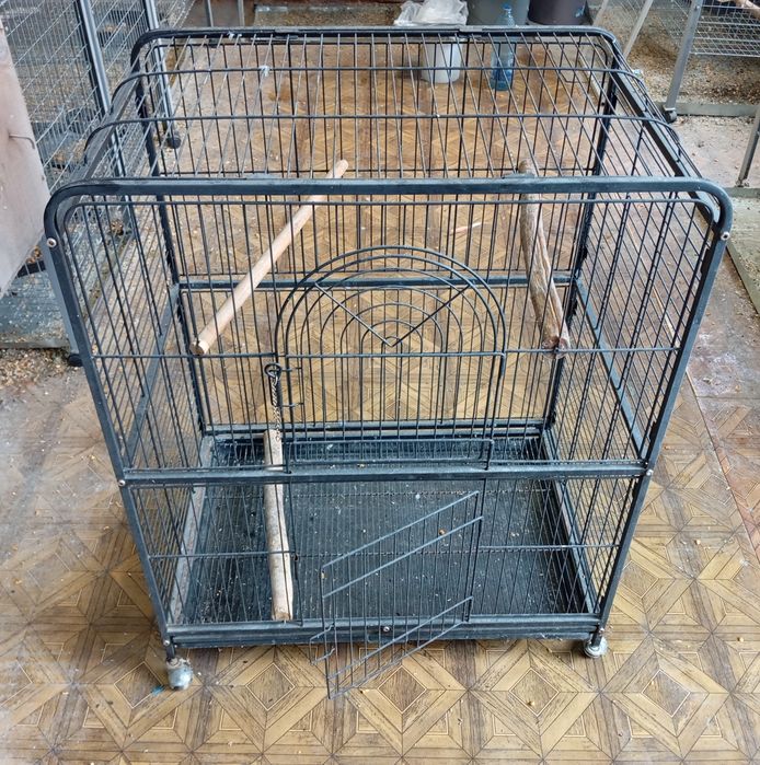 Cușcă rozatoare, papagali