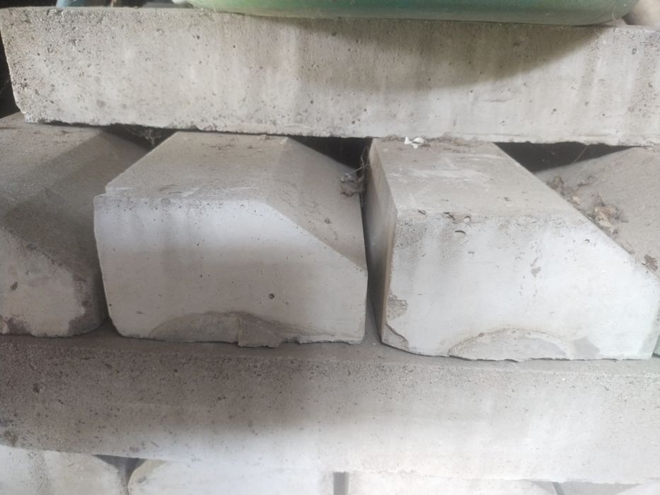 Продам брюшатки брюшатки