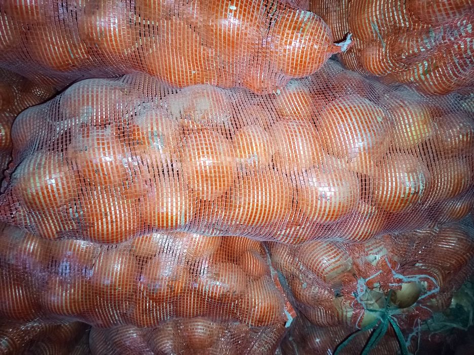 Лук репчатый, оптом.