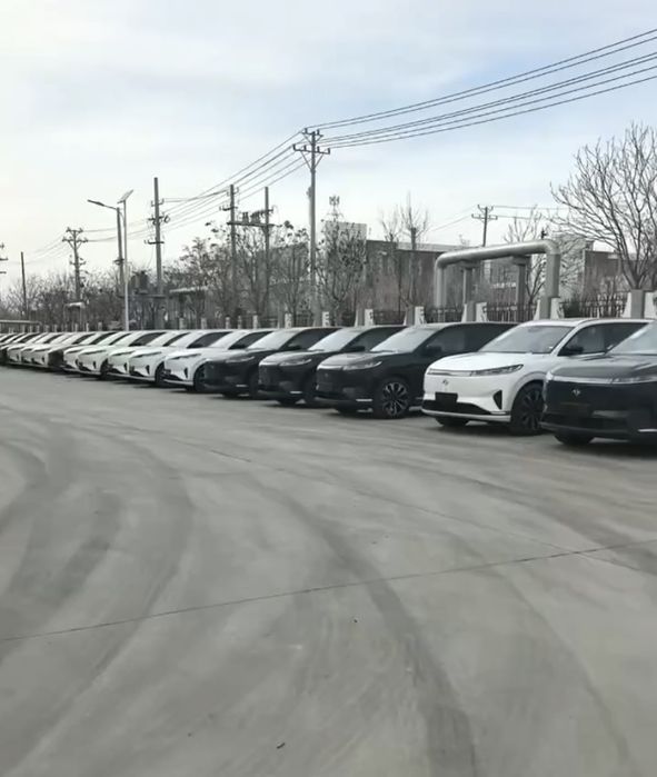 Donfeng 008 ultra elektra full