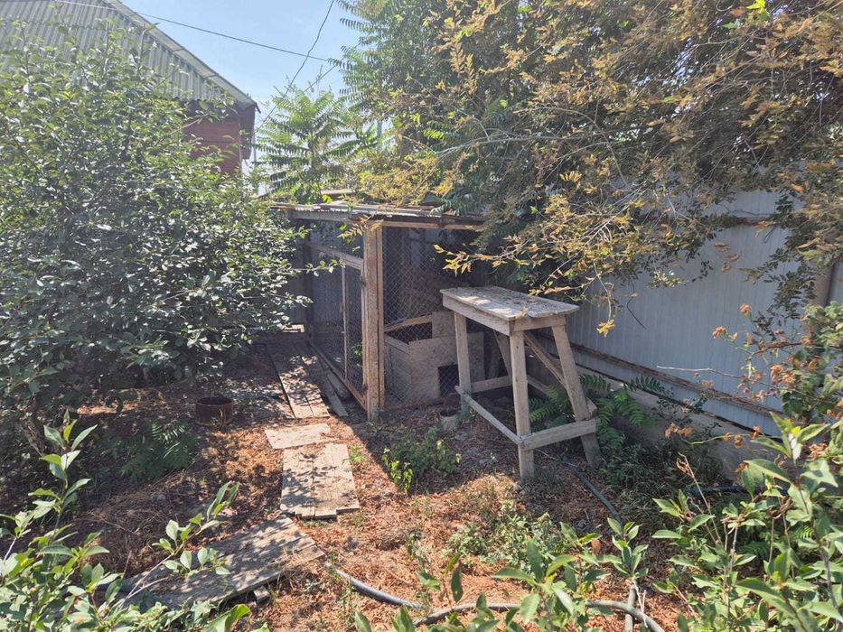 Вольер с будкой для собаки