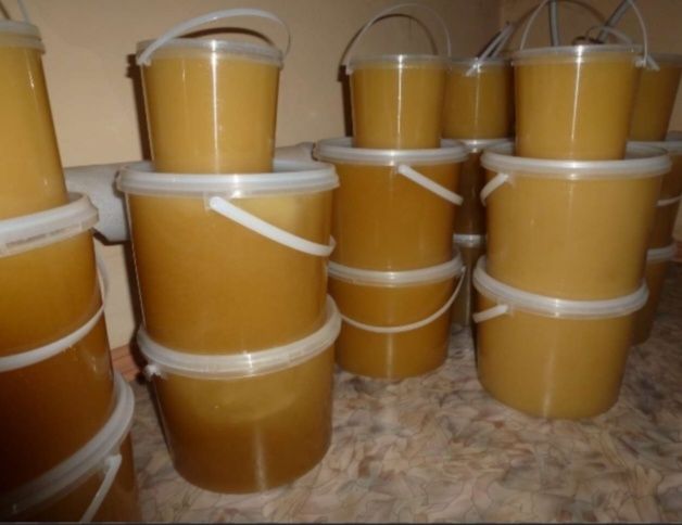 Продается мёд-бал