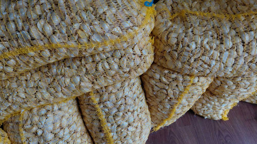 Чесан за сеяне български