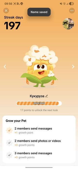 Продам стрик в тиктоке 197 дней