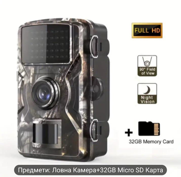 Горска нощно виждане