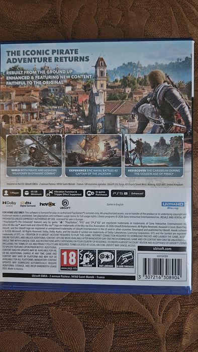Assassin's Creed Black Flag Resynced
