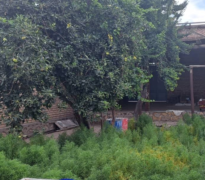 Котежд сотилади,тез ва арзон. Когон шахрида.  Марказида.