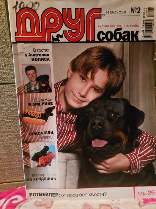 Ротвейлер порода