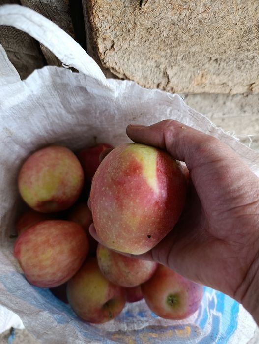 Продам дачу по 7