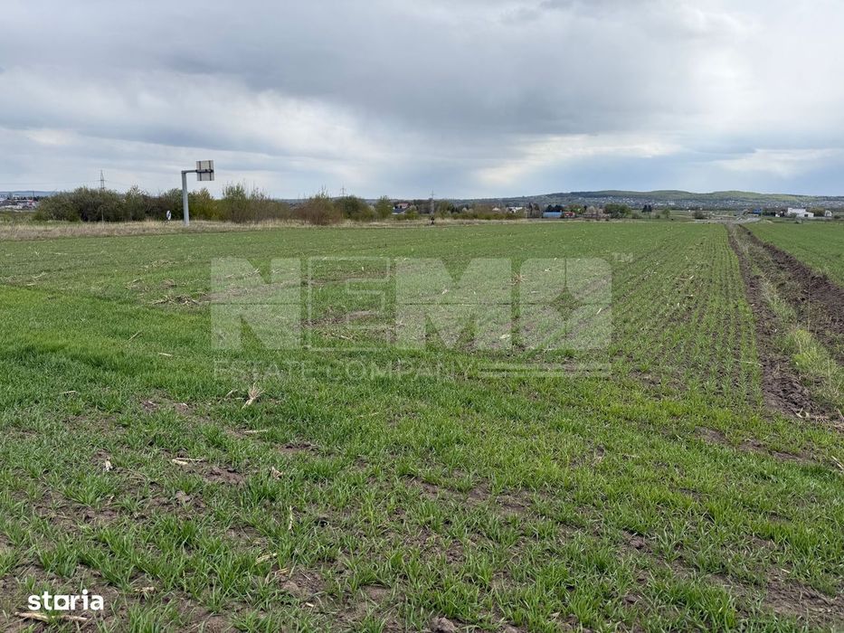 Teren extravilan | Horodnic de Sus – zona Osoi | 50 de Ari
