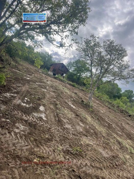 Вила в с. Борнарево 22 м², двор - 1 дка