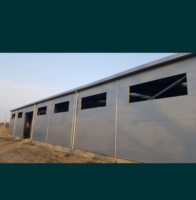 Vand hala cadru metalic profile 10x55x4