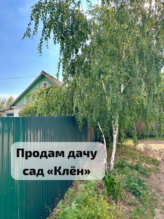 Дачу садоводство Клен