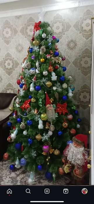 Ёлка без игрушек