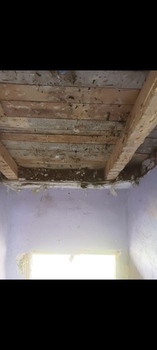 Транспорт и Хамалски усуги