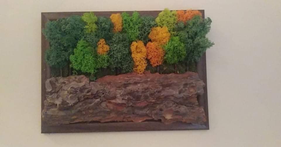 Картини от скандинавски мъх - природа във вашия дом