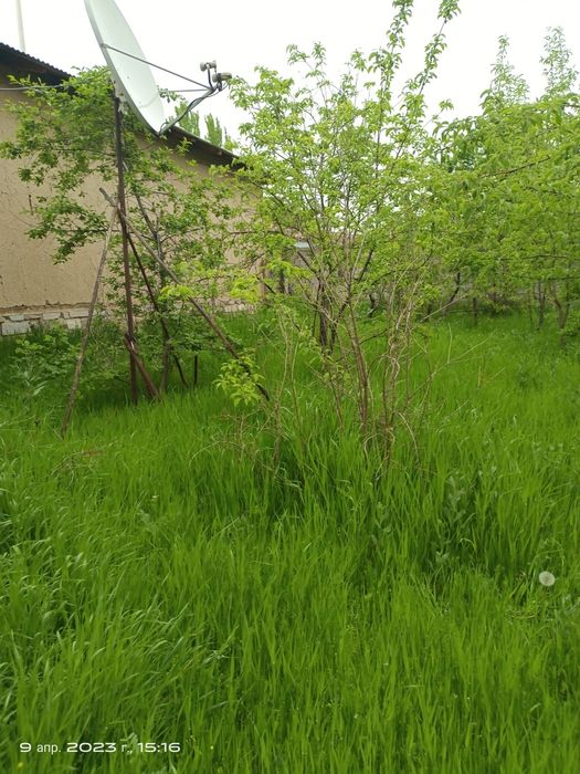 10 соток ховли бустонлик тумани сойлик кишлогида 2 этаж