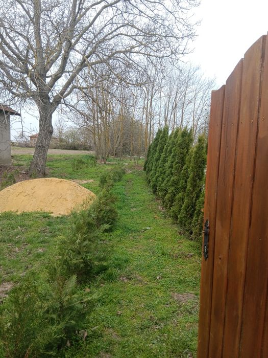 Продава се Къща в с. Дъбовик, Област Добрич - 60 кв.м за 750 €/кв.м - Снимка #2