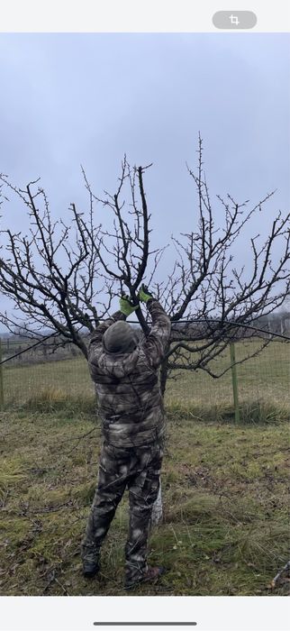 Cosmetizare /Taiere pomi fructiferi /Tocat resturi Vegetale