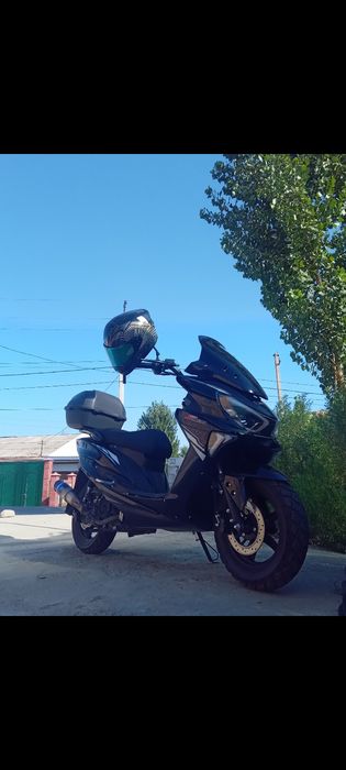 Tiger sotiladi tezligi 100+