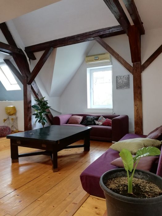 Închiriez apartament  4 camere 3 dormitoare, Pet Friendly, strada Bul Victor Babeș