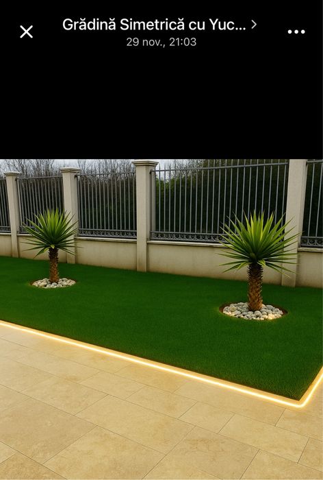 Gazon rulou 20 lei mp