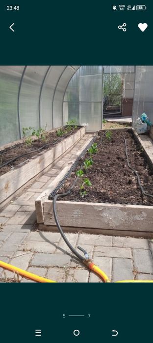 Услуги Сад и огород