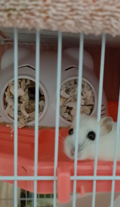 Клетка для хомяка