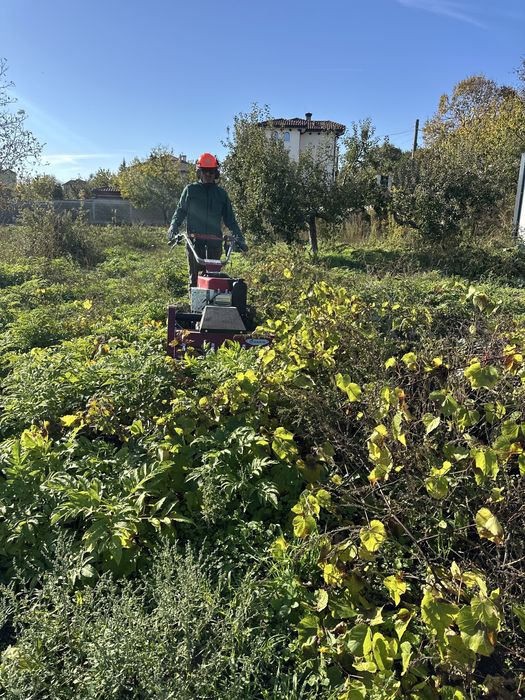 Почистване на дворове, парцели, овощни градини, солари с мулчер