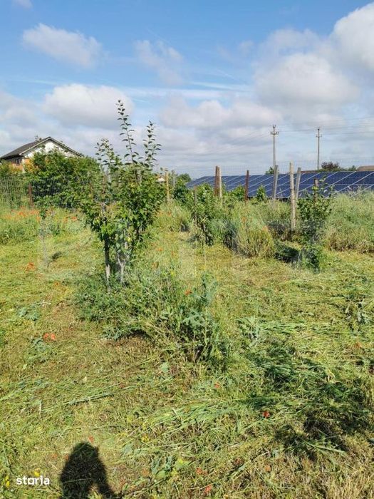 Teren intravilan de vanzare, 978 mp, zona Dudovicesti