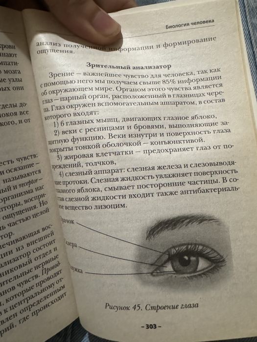 Краткий справочник по биологии в себе содержит все классы биологии