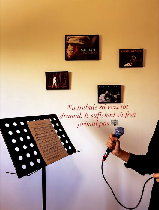 Cursuri pian/canto Suceava