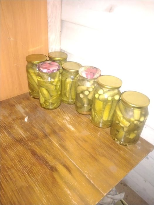 Дачные соленые огурцы и чеснок