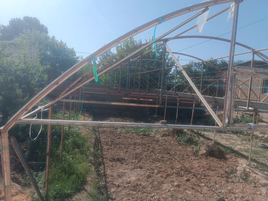 tiplisa yaxshi xolata turibdi