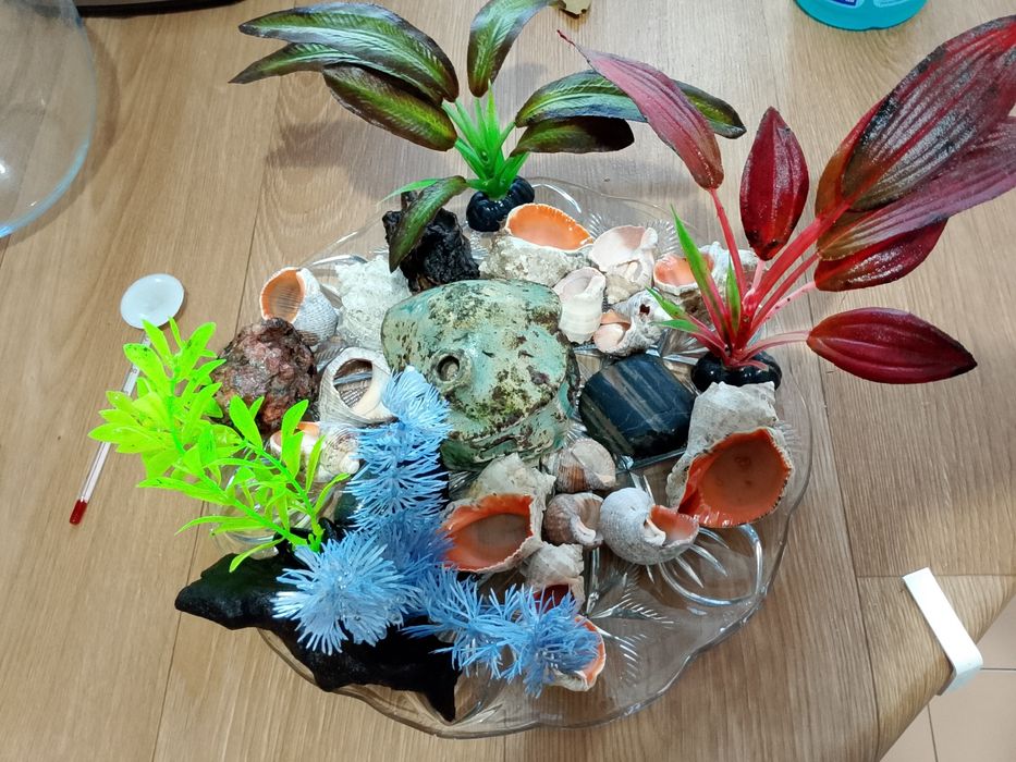 Дъно за аквариум