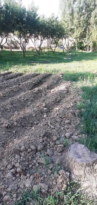 Ер сотилади боғли